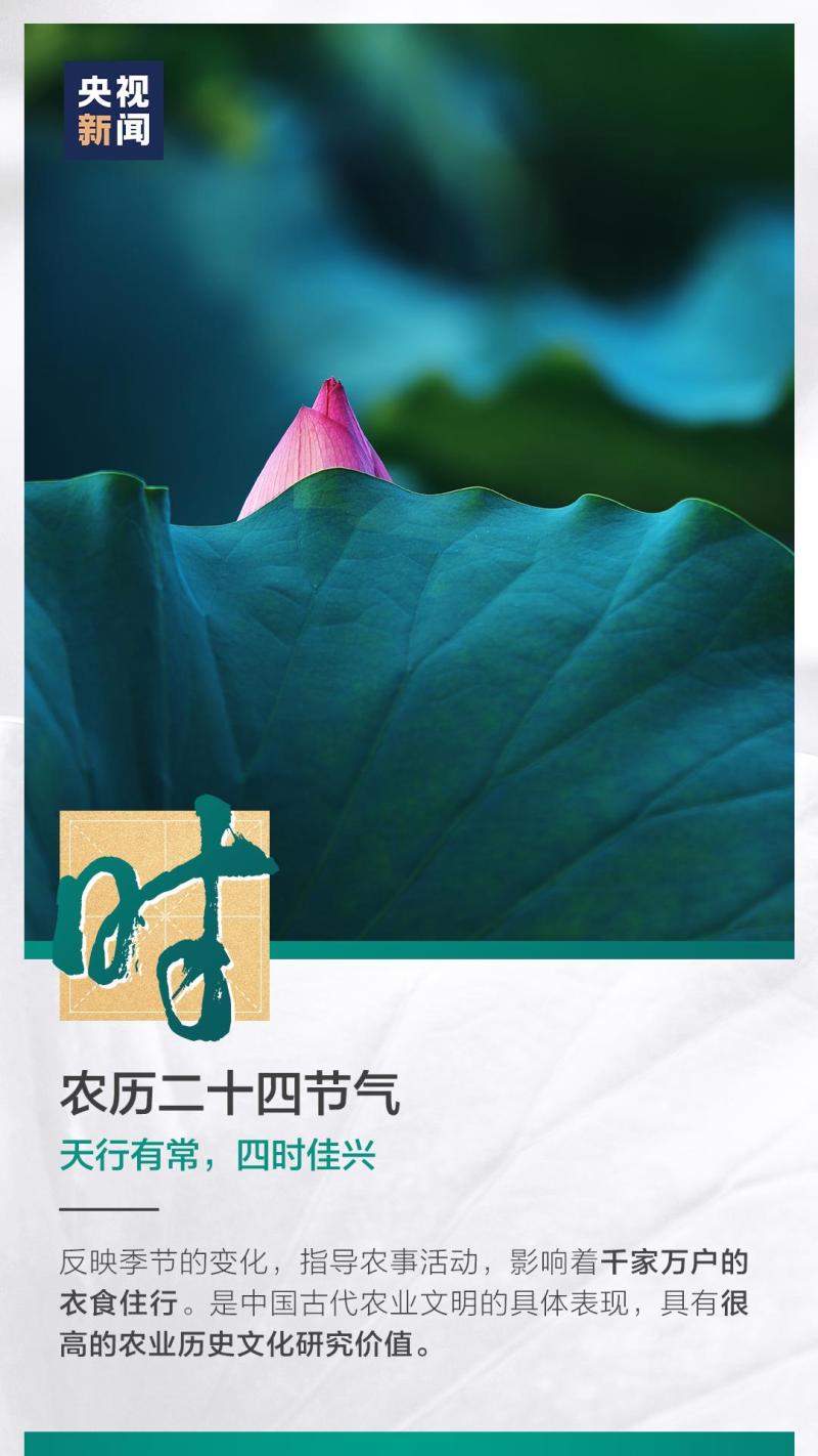 這也太浪漫了吧！