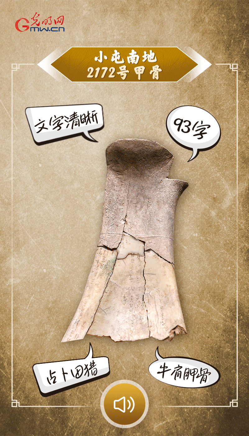 文物會(huì)說(shuō)話(huà) | 殷墟博物館新館開(kāi)館啦，帶你奔赴“千年之約”