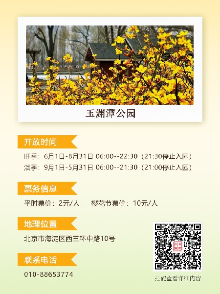 追花指南第二期！京城三月里最撩人的玉蘭觀賞地