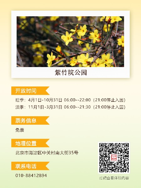 追花指南第二期！京城三月里最撩人的玉蘭觀賞地