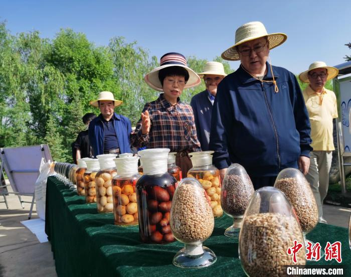 青海：利用冷涼氣候，打造高原綠色種業(yè)輸出地