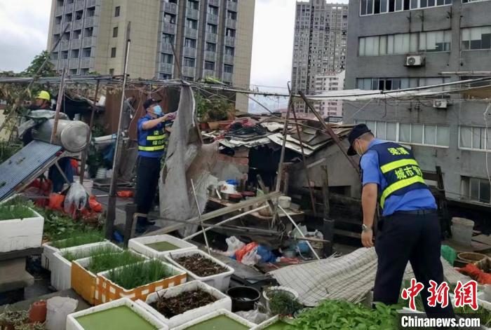 在一處居民樓屋頂，城管隊(duì)員拆除“空中菜園”?！〗疖?攝