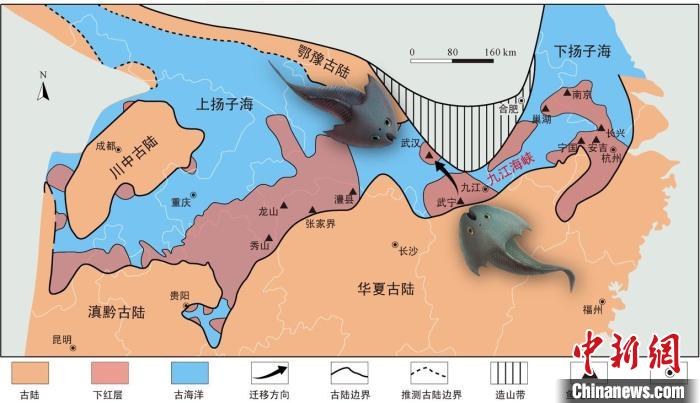 華南地區(qū)志留紀早期古地理圖和盔甲魚類化石產(chǎn)地(山顯任改自陳旭、戎嘉余，1996；戎嘉余等，2012) 中科院古脊椎所 供圖