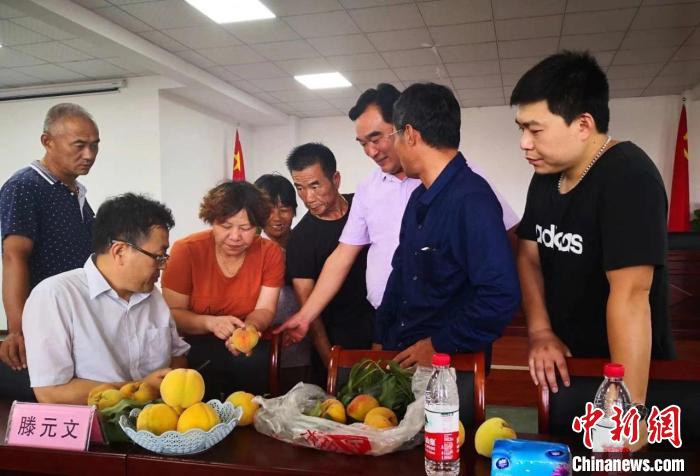 民進(jìn)浙江省委會(huì)為三里橋黃桃種植戶(hù)送技術(shù)、送指導(dǎo)?！〖紊平y(tǒng)戰(zhàn) 供圖