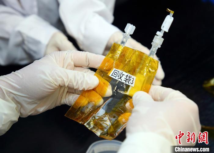 隨神舟十五號(hào)返回地面的空間科學(xué)實(shí)驗(yàn)樣品?！≈锌圃嚎臻g應(yīng)用中心 供圖
