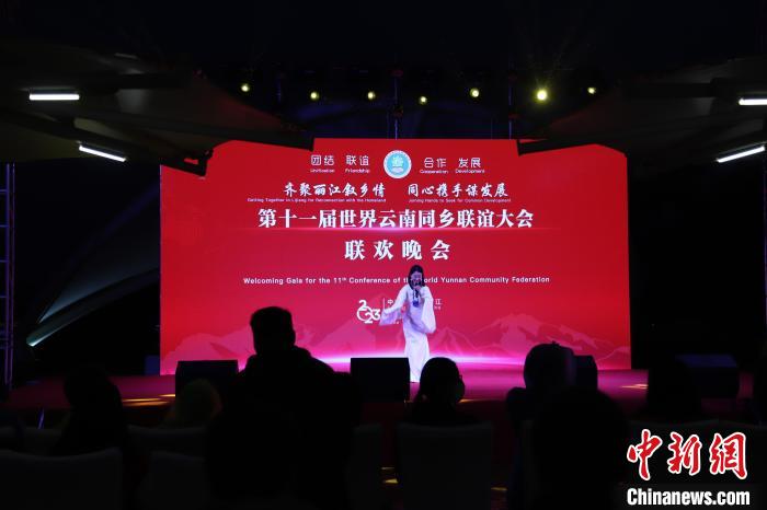 圖為第十一屆世界云南同鄉(xiāng)聯(lián)誼大會舉辦聯(lián)歡晚會。　崔永江 攝