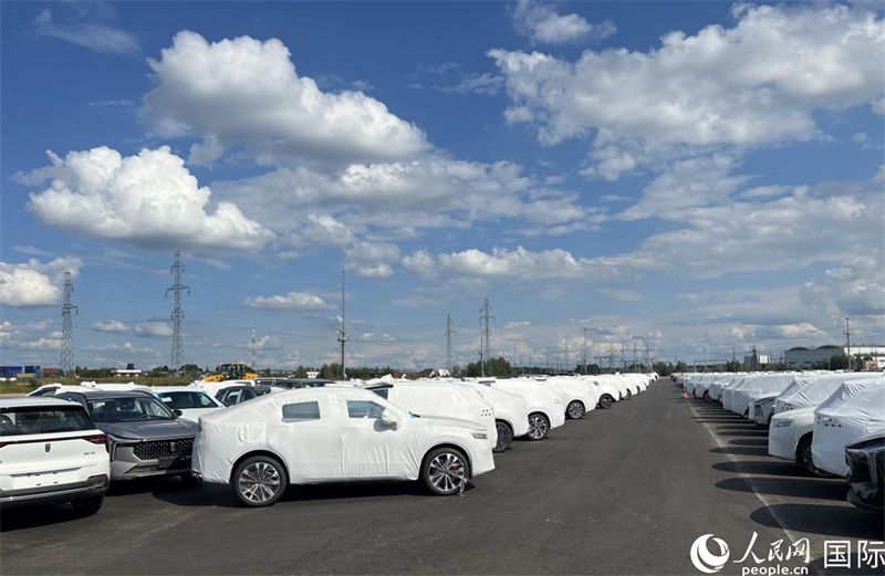 莫斯科別雷拉斯特物流中心內(nèi)的中國(guó)品牌汽車(chē)。人民網(wǎng)記者 申佳平攝
