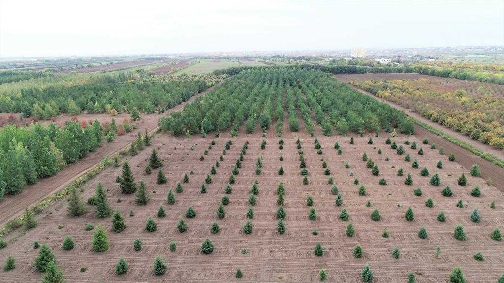這是2023年9月11日在哈薩克斯坦首都阿斯塔納拍攝的一處植物種質(zhì)資源苗圃（無(wú)人機(jī)照片）。新華社發(fā)（法爾哈特·圖克諾夫 攝）