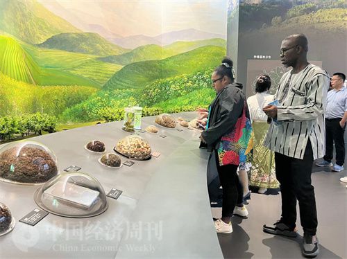   （在中國藥都中醫(yī)藥博物館，外媒記者了解中醫(yī)藥發(fā)展史。中國經(jīng)濟(jì)周刊記者 郭志強(qiáng) 攝）
