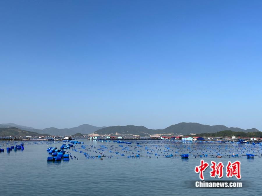 霞浦縣海上魚(yú)排。<a target='_blank' href='/' ><p  align=