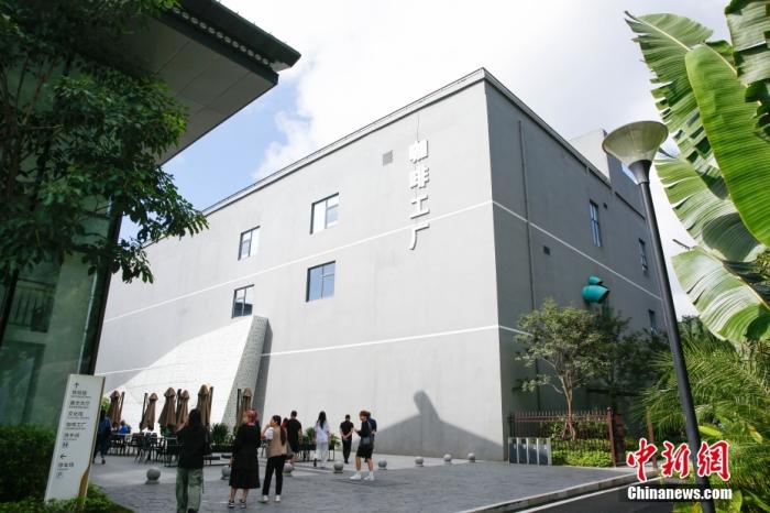 圖為采訪團(tuán)一行參觀咖啡工廠。 曹淼欣 攝