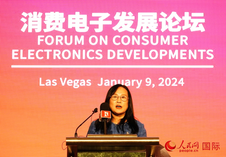 中國機電產品進出口商會副會長劉春致辭。人民網記者 鄧圩攝