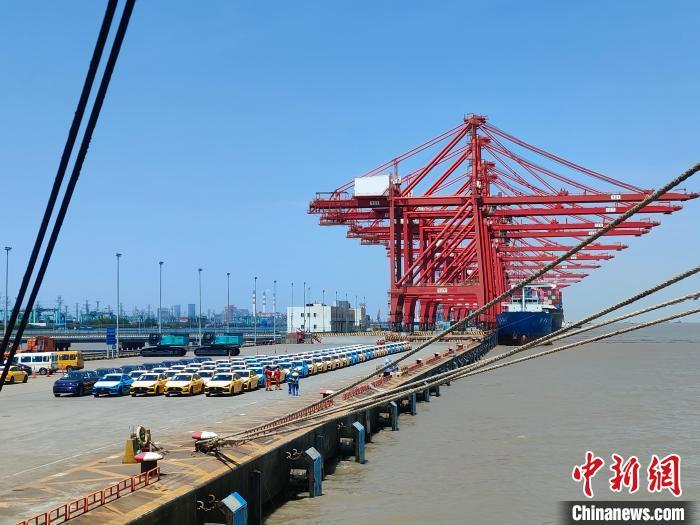資料圖：國產(chǎn)新能源車在上海外高橋港區(qū)海通碼頭“整裝待發(fā)”?！∑址?攝