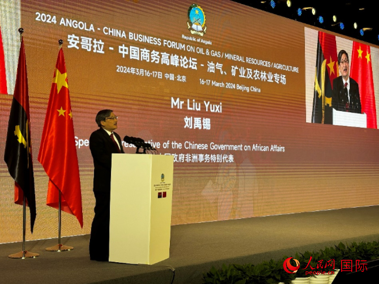 中國(guó)政府非洲事務(wù)特別代表劉禹錫。人民網(wǎng)記者 張榮攝