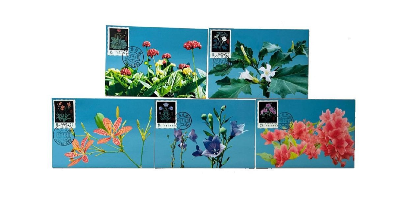 首套藥用植物極限片。第七屆阿聯(lián)酋集郵展主辦方供圖