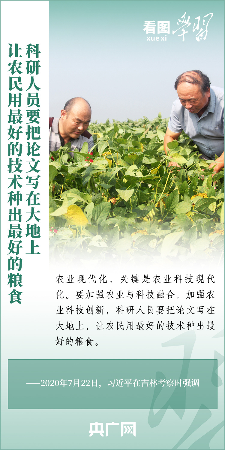 看圖學習丨推廣良田、良種、良法、良機 給農(nóng)業(yè)現(xiàn)代化插上科技的翅膀