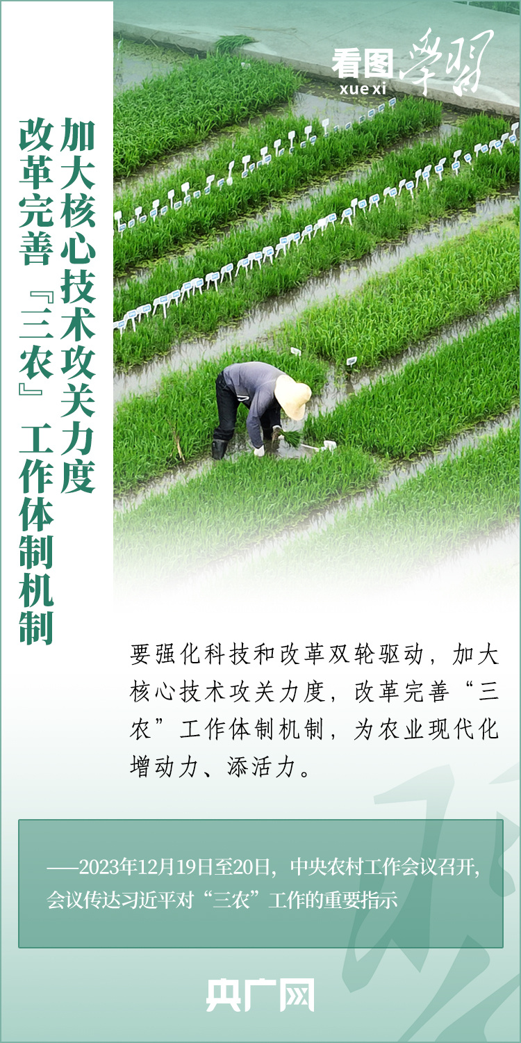 看圖學習丨推廣良田、良種、良法、良機 給農(nóng)業(yè)現(xiàn)代化插上科技的翅膀