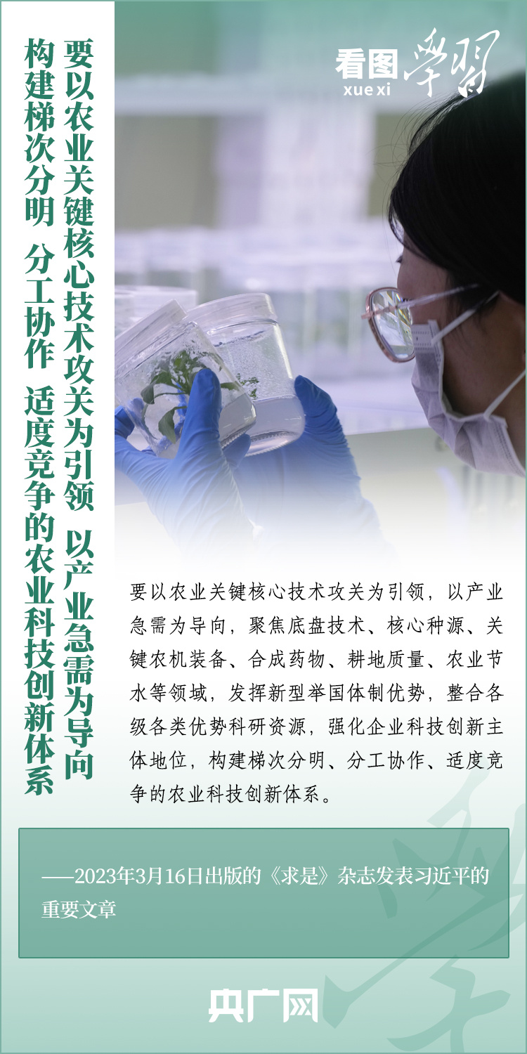 看圖學習丨推廣良田、良種、良法、良機 給農(nóng)業(yè)現(xiàn)代化插上科技的翅膀