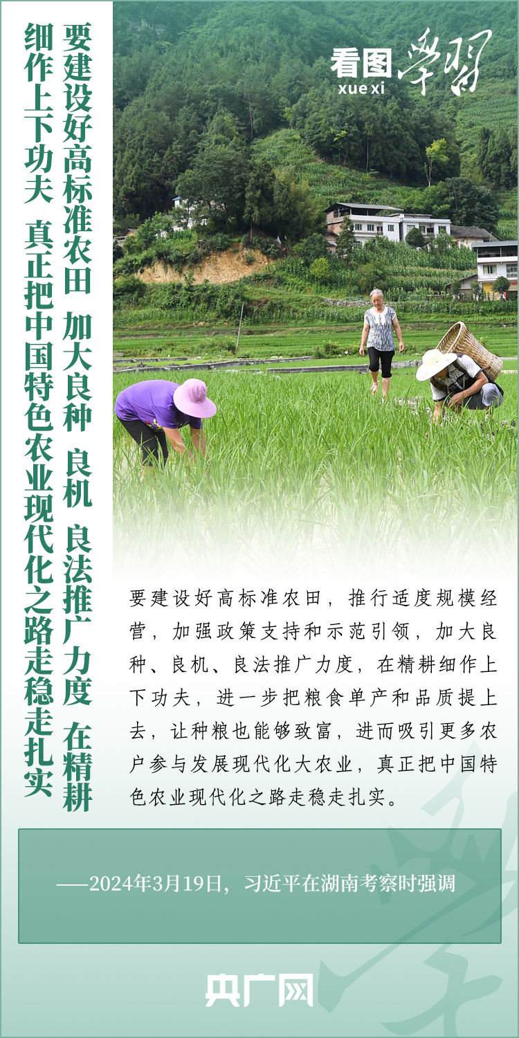 看圖學習丨推廣良田、良種、良法、良機 給農(nóng)業(yè)現(xiàn)代化插上科技的翅膀