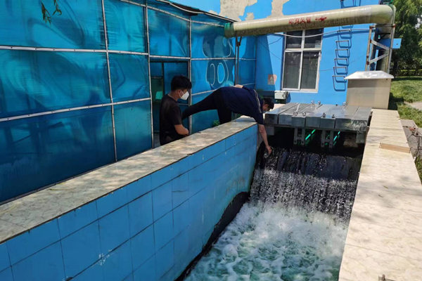 邯鄲市雞澤縣藍(lán)天污水處理廠員工正在出水口進(jìn)行水質(zhì)檢測。鄭佳欣攝
