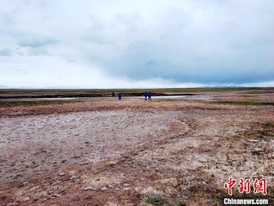圖為救援力量在青海省西部搜救失聯(lián)的江蘇南京某大學(xué)女生黃某某。海西州藍(lán)天應(yīng)急救援中心 供圖