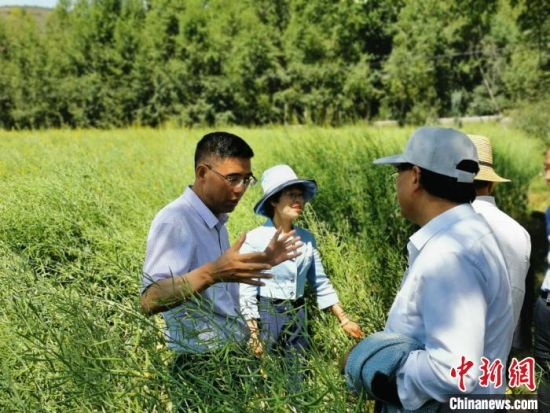 圖為九三學(xué)社青海省委主委杜德志(左一)在基層調(diào)研。受訪者供圖