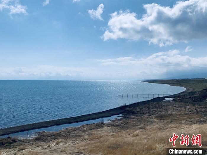 圖為青海湖畔。(資料圖) 張傲 攝