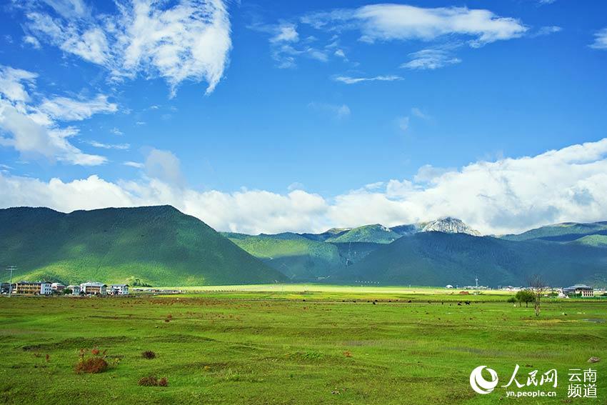 納帕海濕地風(fēng)景。呂昊辰攝