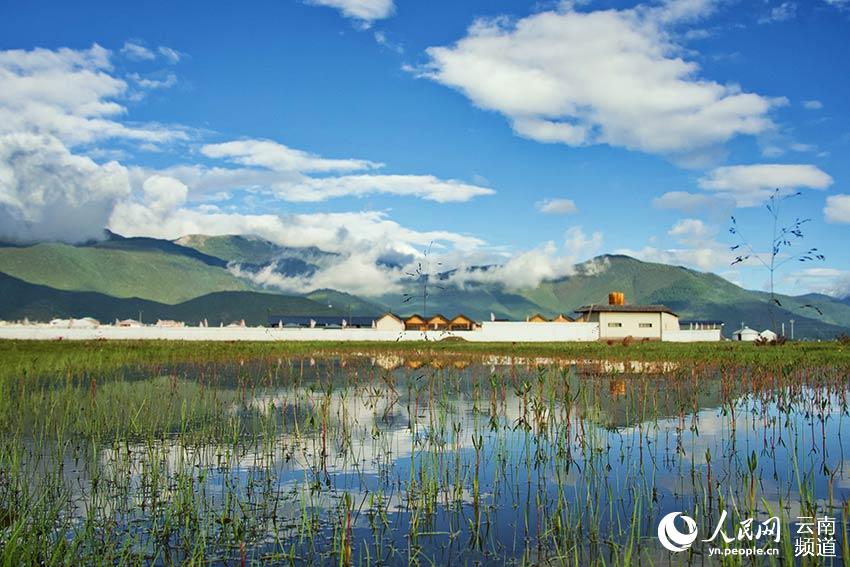 納帕海濕地風(fēng)景。呂昊辰攝
