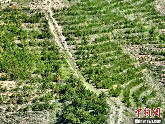 航拍建行青海省分行綠化區(qū)?！∑钤鲚?攝