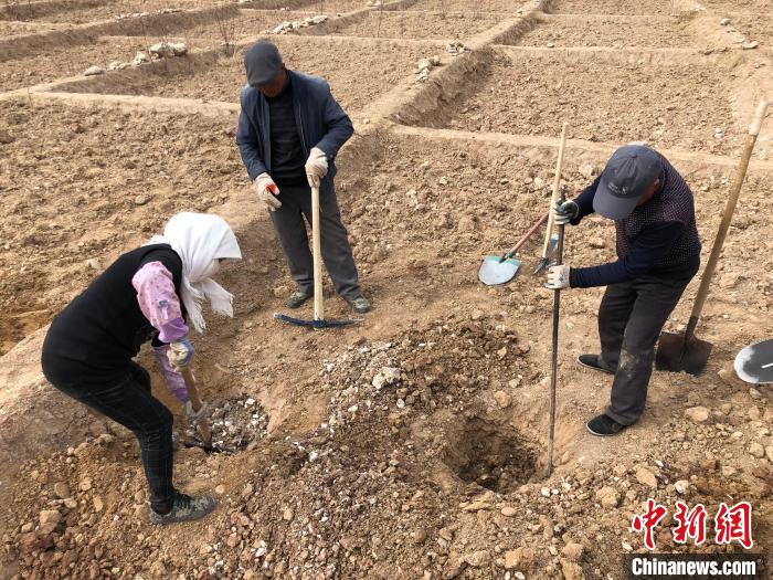 資料圖為建行青海省分行綠化區(qū)施工隊(duì)隊(duì)員處理亂石?！〗ㄐ星嗪Ｊ》中泄﹫D