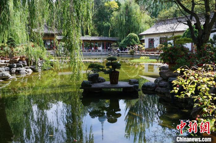 圖為西寧園林植物園秋日風(fēng)景別有韻味?！●R銘言 攝