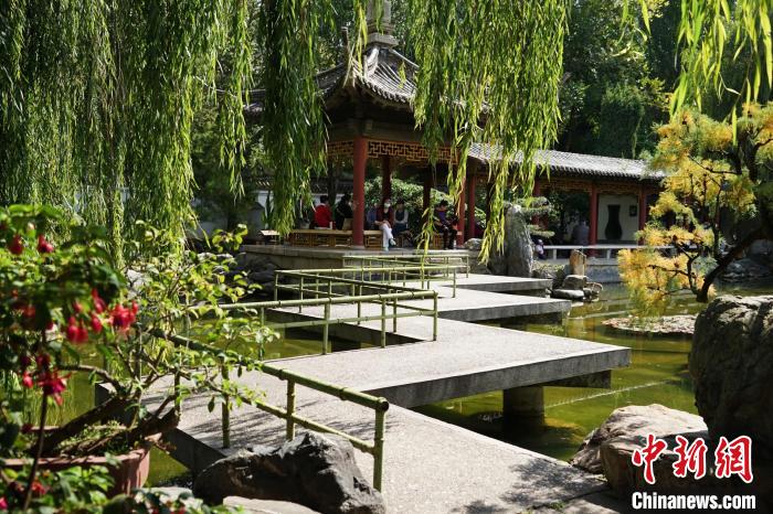 圖為西寧園林植物園秋日風(fēng)景別有韻味。　馬銘言 攝