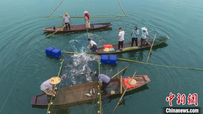 捕魚現(xiàn)場?！≈鬓k方供圖