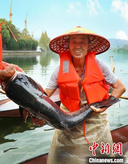 工作人員展示捕撈成果?！≈鬓k方供圖
