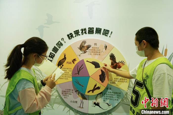 圖為小朋友在青海西寧湟水國(guó)家濕地公園科普館內(nèi)參觀學(xué)習(xí)。　馬銘言 攝