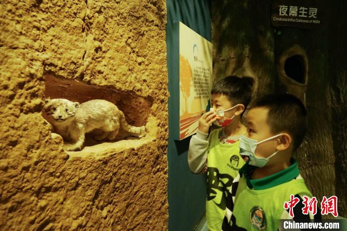 圖為小朋友在青海西寧湟水國(guó)家濕地公園科普館內(nèi)參觀學(xué)習(xí)。　馬銘言 攝