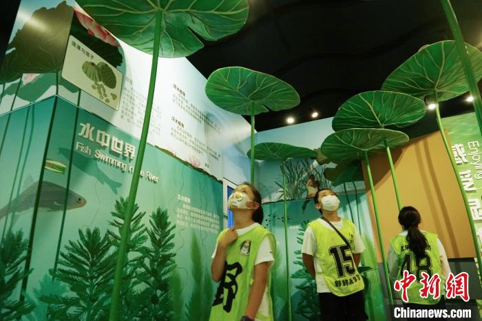 圖為小朋友在青海西寧湟水國(guó)家濕地公園科普館內(nèi)參觀學(xué)習(xí)?！●R銘言 攝