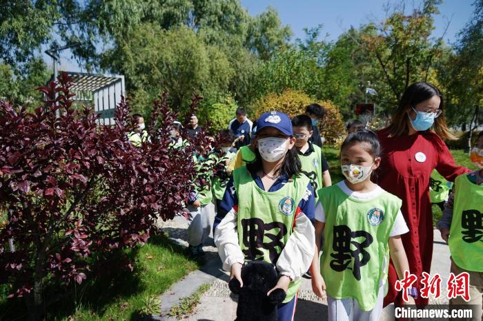 圖為小朋友在青海西寧湟水國(guó)家濕地公園內(nèi)認(rèn)識(shí)植物?！●R銘言 攝