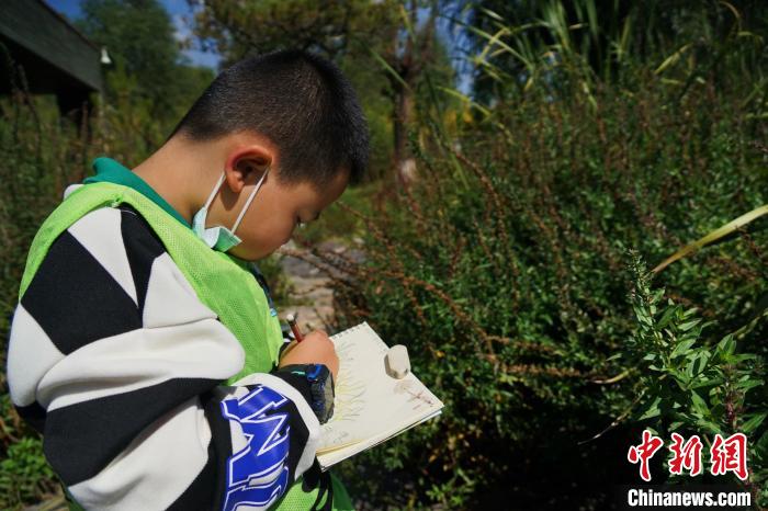 圖為小朋友在青海西寧湟水國(guó)家濕地公園內(nèi)認(rèn)識(shí)植物并進(jìn)行繪畫(huà)。　馬銘言 攝