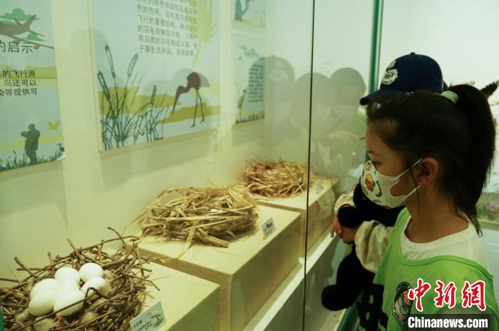 圖為小朋友在青海西寧湟水國(guó)家濕地公園科普館內(nèi)參觀學(xué)習(xí)。　馬銘言 攝