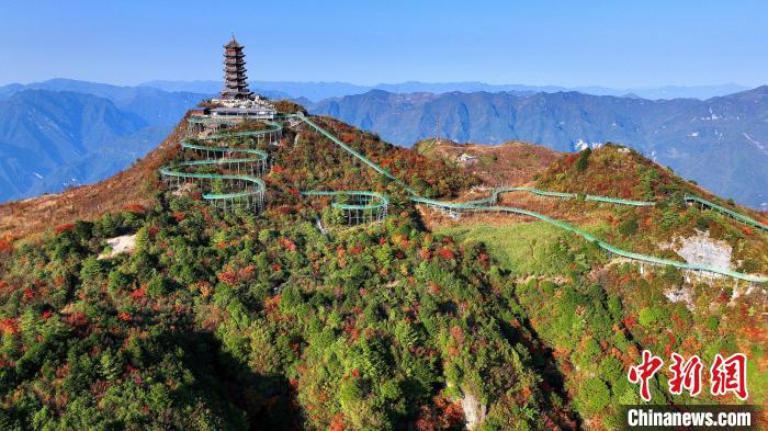 巴山大峽谷彩林迎來最佳觀賞期。　姚盛 攝