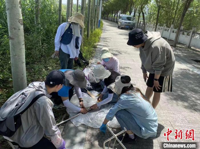 圖為科研人員正在進行監(jiān)測?！∥鲗庝宜畤覞竦毓珗@供圖