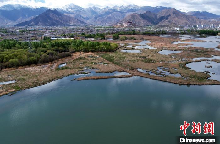 圖為拉薩拉魯濕地。(無人機(jī)照片) 李林 攝