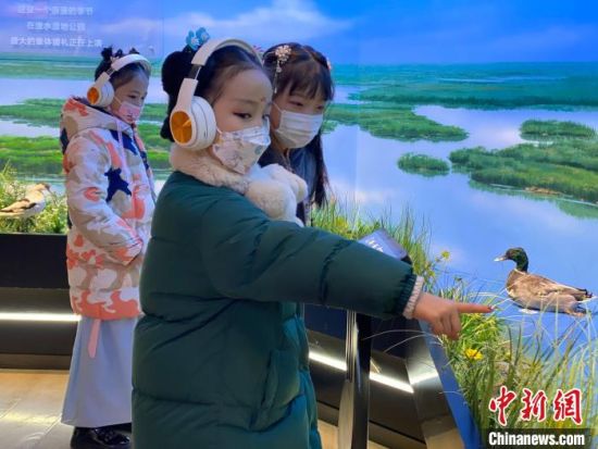 圖為學(xué)生在西寧市第一中學(xué)濕地科普宣教館內(nèi)參觀?！±罱瓕?攝