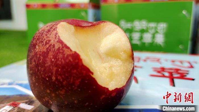 圖為通麥村特色甜心蘋果。　貢桑拉姆 攝