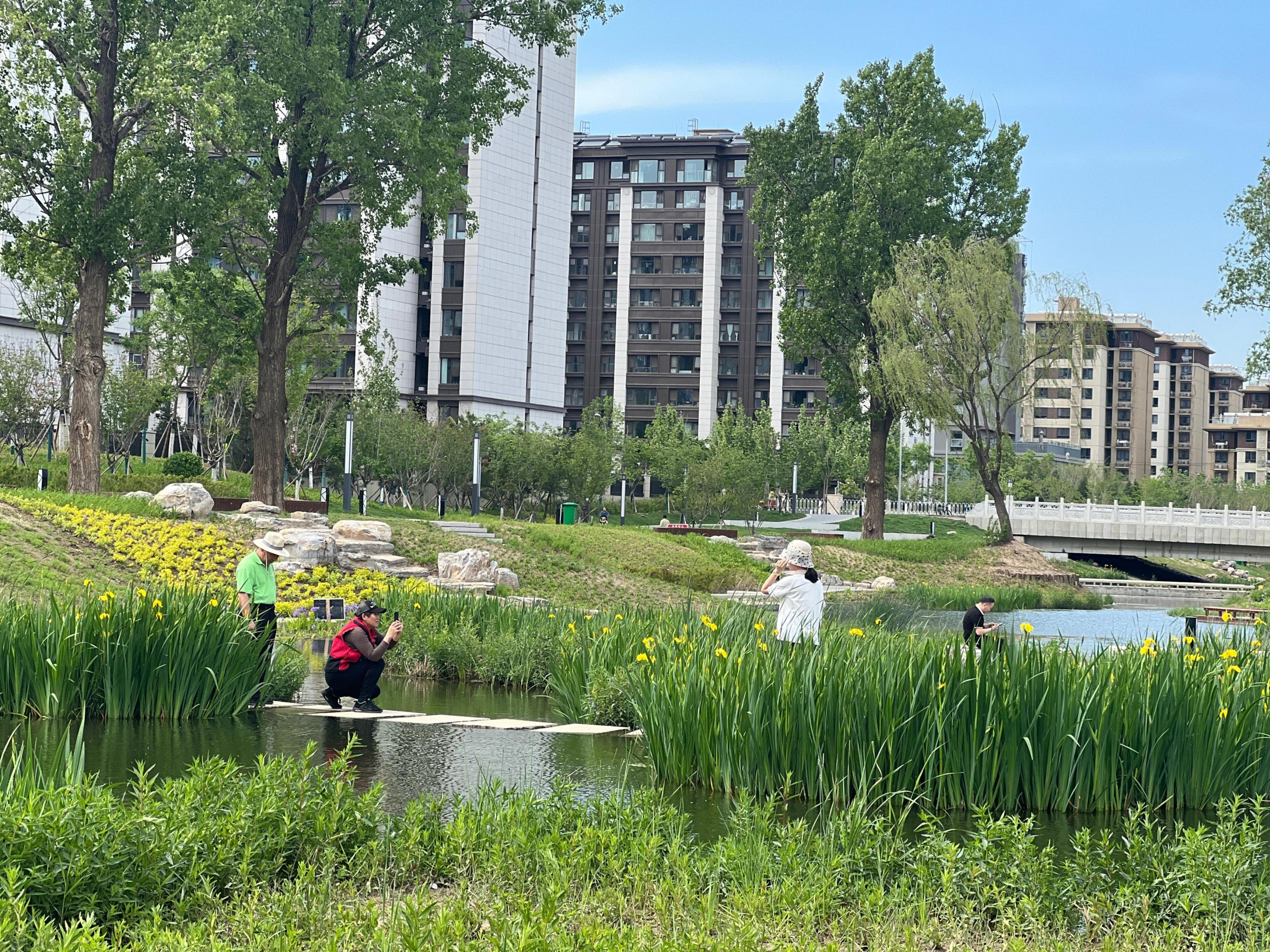五一渠生態(tài)濱河公園內(nèi)，市民正在拍照留念。人民網(wǎng) 歐陽易佳攝