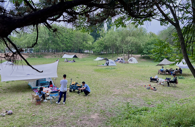 “自駕+露營(yíng)”等多元模式受熱捧。人民網(wǎng)記者 王連香攝