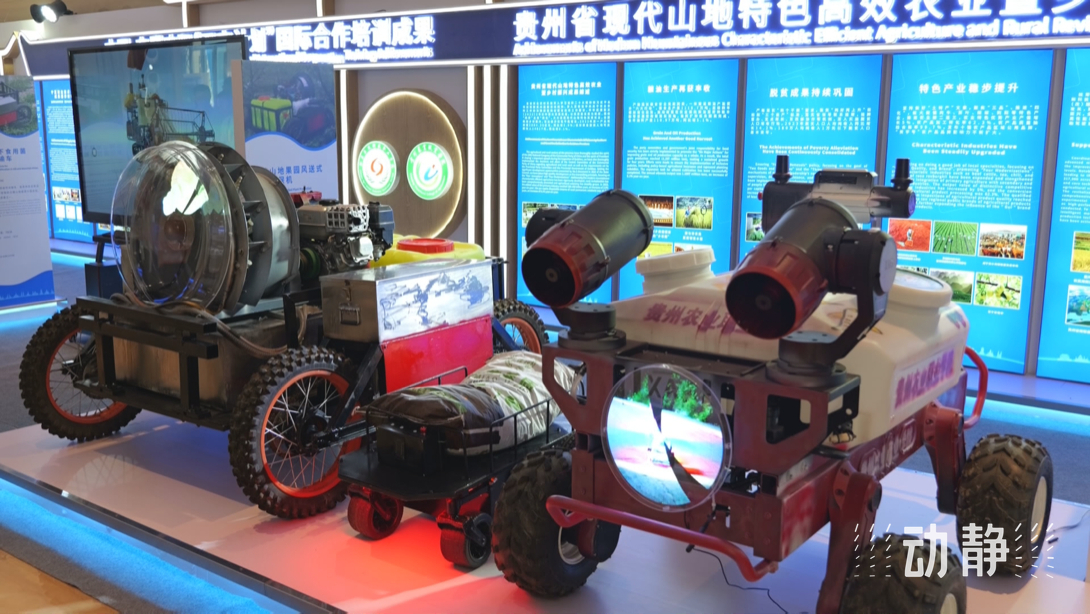 展示成果分享經(jīng)驗，中國—東盟教育交流周深化合作共創(chuàng)未來！