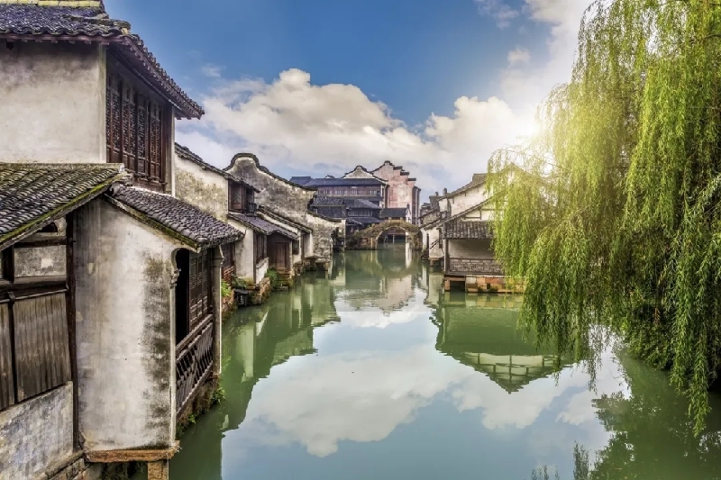 烏鎮(zhèn)動(dòng)觀察｜這個(gè)字，牽起國(guó)際交流互鑒之紐帶